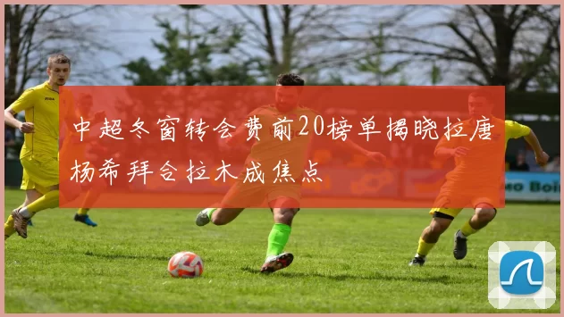 中超冬窗转会费前20榜单揭晓拉唐杨希拜合拉木成焦点